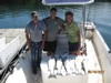 (06/16/2017) - Nice Striped Bass